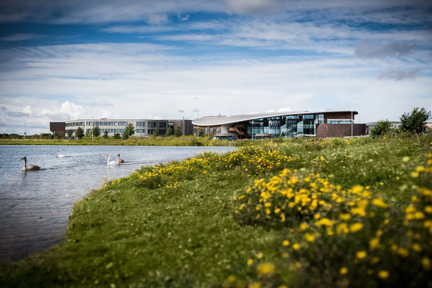 Campus of University of York